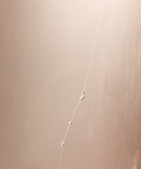 ������ʮ�� ���ֱ����� ˭����������