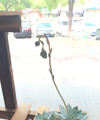 ÿ��һ������