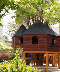 ��û�н�����ҹ�������������