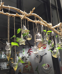 ������һ��С����