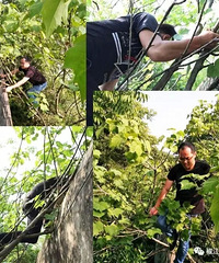 ���Ÿ��������ۿ�