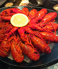 �����ݻ��ĸо� �������