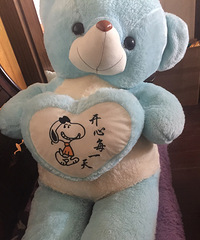 ת�ô��ܣ�����Ҫ����