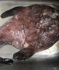 ���۸��᡿����ʲô�㣿���ǳԹ���