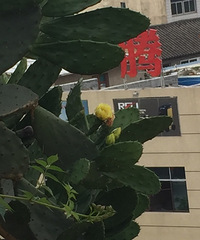 ����������