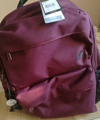 ȫ�°��ϴ�˹���а�ת��