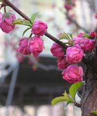 93�꽷��MM �������� 168cm