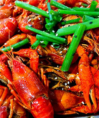 ���������ҹ��ʤ��ҹ��