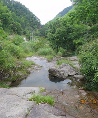 登丁辽尖 探周边山村 访马尾松王