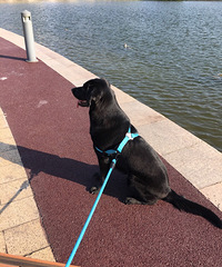 ���������ҡ��Ϲ���