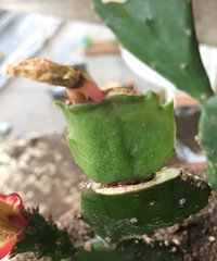 ���Ϸ��־�ϲ��