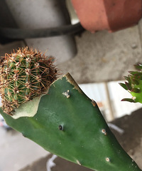 ���Ϸ��־�ϲ��