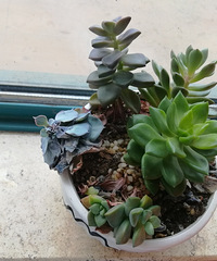 ��æ����Ӧ����ô��