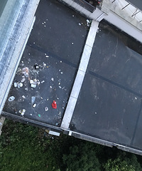 ��Ľڲٵ��ˣ��鷳����