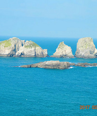 神秘蓝眼泪 渔山列岛