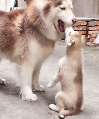 ��ʿ��%u00a          �λ�ɫ�ı���