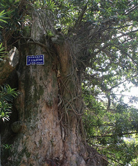 1200����޺���