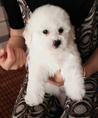 ֣�������谮�м�������Ǻ������ĳ����