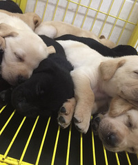 ��������������Ȯһ�ѣ���֤�����ֱ���