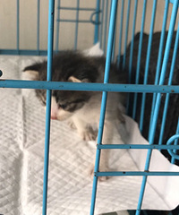 С��è��������è��·�ţ���ϵ�绰��189