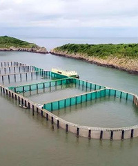 �й����������֮��