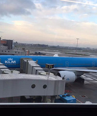 ������һ�¡�ƽʱ����ʱ�����������Ա߻�ָ�ֻ�����