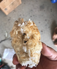 �ж����˳Թ������