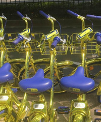 �����𵥳�ʲôʱ����