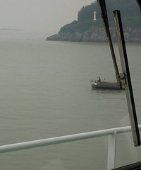 "捞海蜇大军"