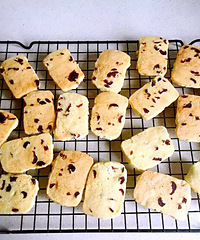 ������Խݮ����