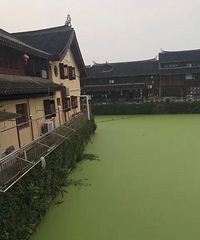 这几天的河咋了啊 青山绿水?