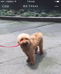 �����ٱ��Ͻ��ĸ̩���������