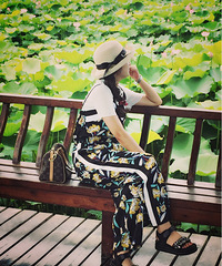 ӳ�պɻ�������