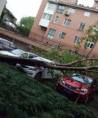 ��ͣ�ű������˱���������