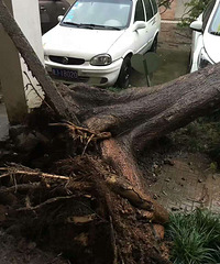 ��ͣ�ű������˱���������