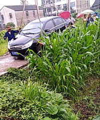 �и�����250Ԫ