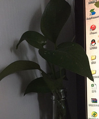 Ϊʲô�����Ļ�һ����Ķ���ʧ��