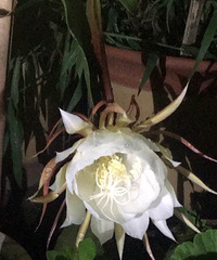 ��һ�ο�����꼻���