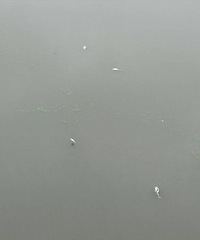 �����ϡ���������������ö�����