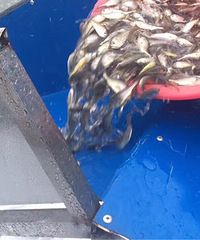 ��ô�������붫��