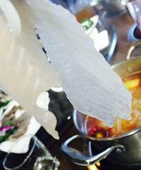 �����Ƭ��͸���ʺܸ߰�