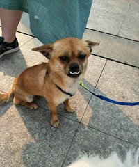 �������ˣ�����Ȥ��������ϵ��ʽ���ң�