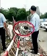 ���ײ��ź�����������������Ѹ��ס��𻯡���