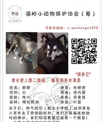 ��Ҹ���Ȥ���Լ��룺���������������Ȧ