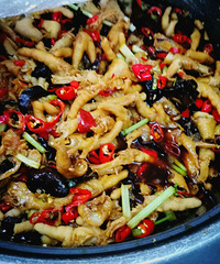 ��ʦ�����Ʒ�צ�̳�ƪ