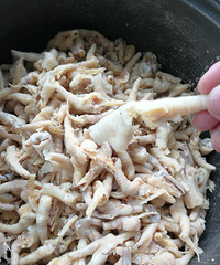 ��ʦ�����Ʒ�צ�̳�ƪ