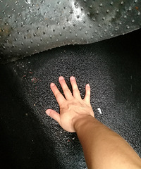 ���ڱ���������©ˮ