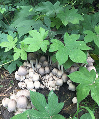 ���۸��᡿�����ʲô������