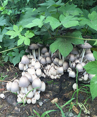 ���۸��᡿�����ʲô������