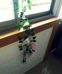 [�ҵı����ճ�]�Լ������ֹ�����